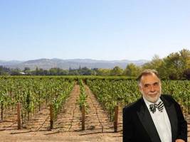 11 Celebrities Who Make Wine